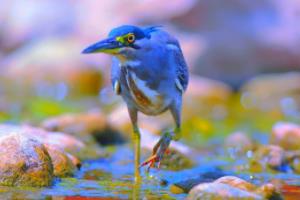 蓝鲸体育app-迪马：那不勒斯仍在谈胡安卢，关键问题在于二转分成比例