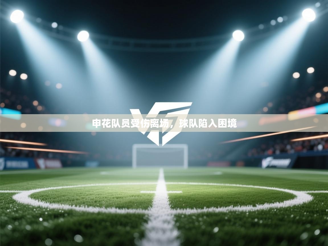 蓝鲸体育在线-申花队员受伤离场，球队陷入困境  第4张