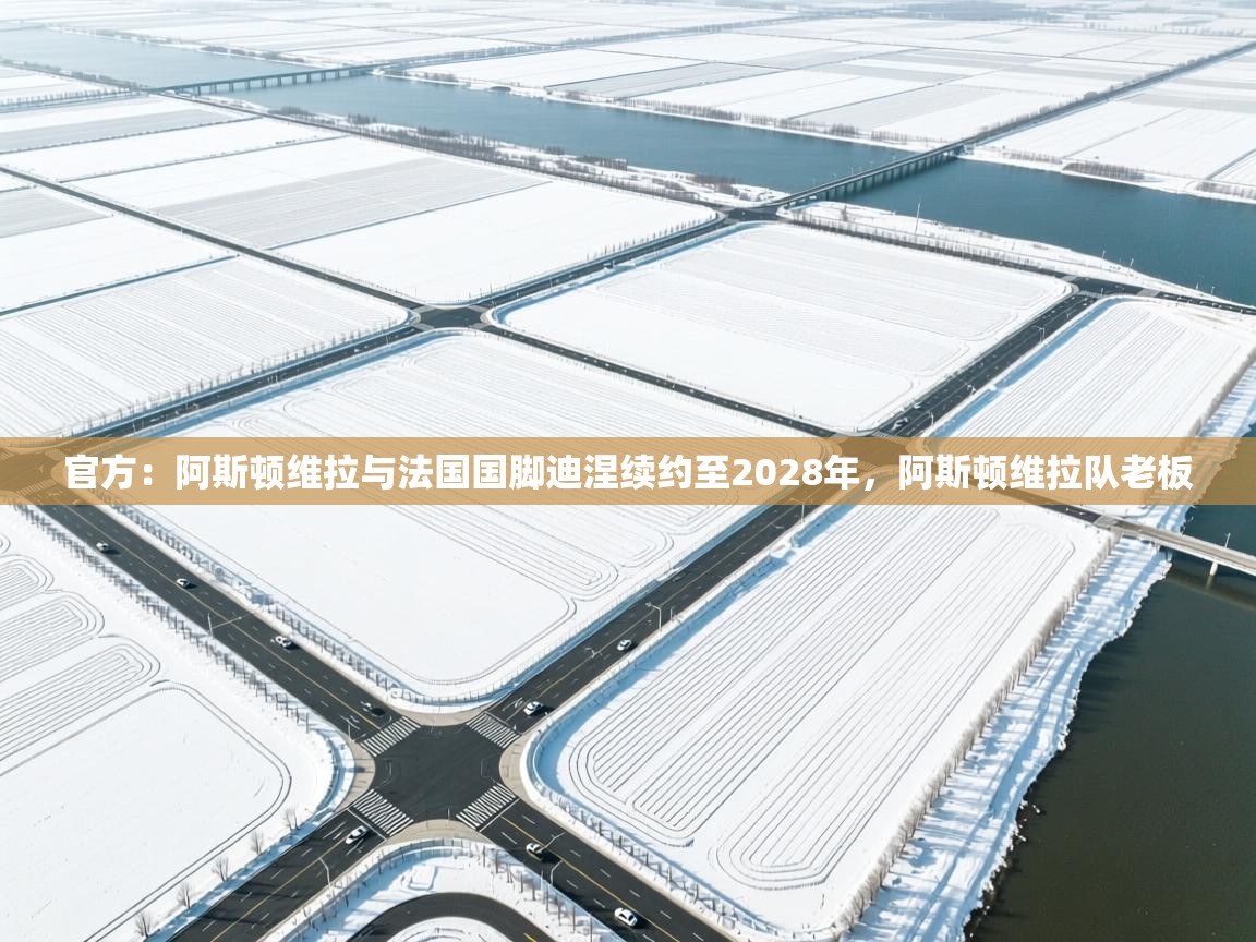 蓝鲸体育直播电脑版-官方：阿斯顿维拉与法国国脚迪涅续约至2028年，阿斯顿维拉队老板  第4张