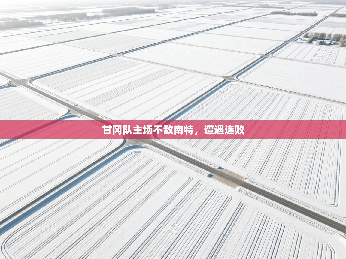 鲸蓝体育平台-甘冈队主场不敌南特，遭遇连败  第2张