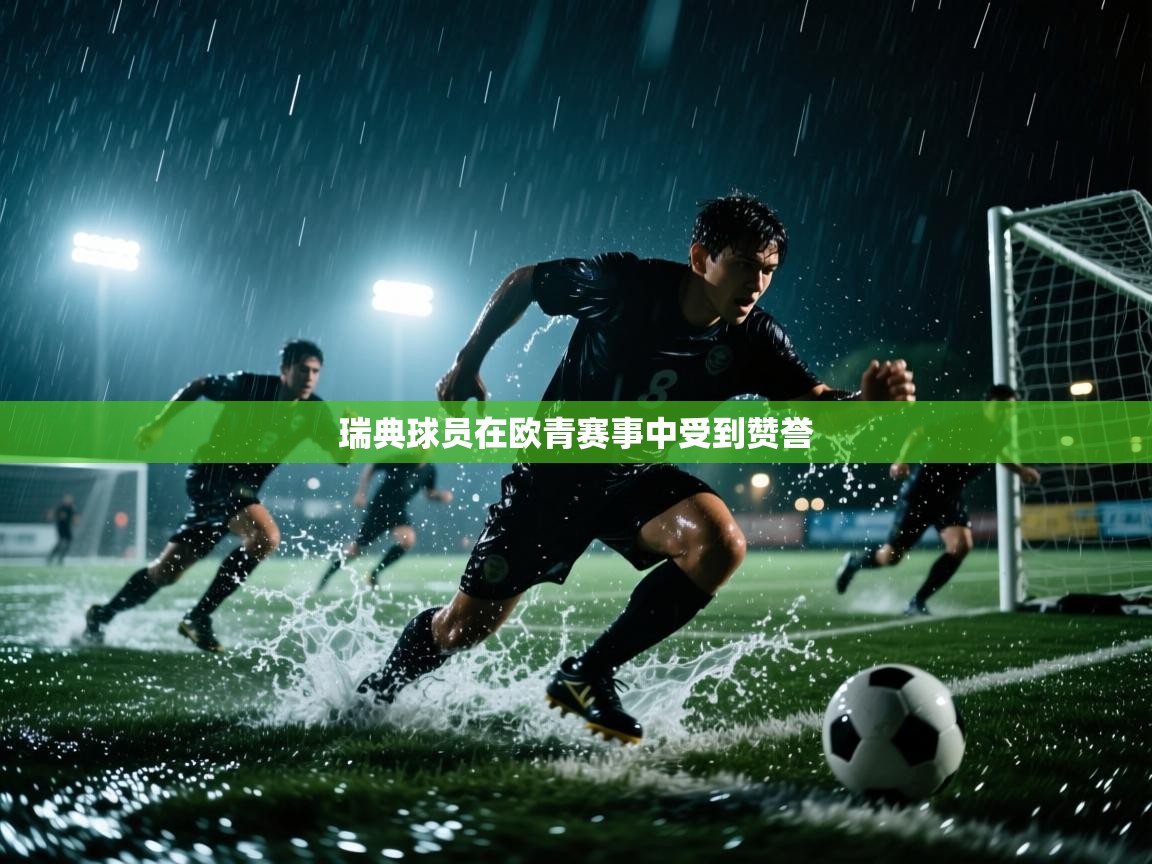 鲸鱼体育app-瑞典球员在欧青赛事中受到赞誉  第3张