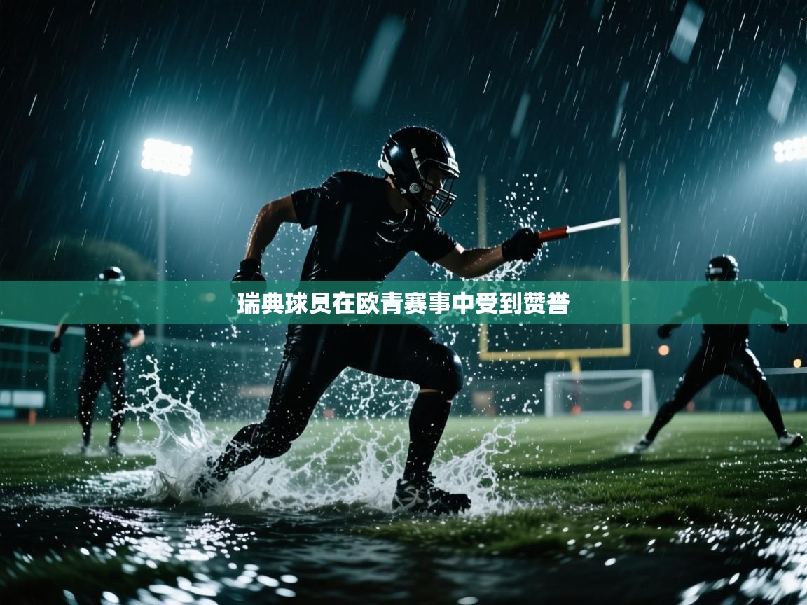 鲸鱼体育app-瑞典球员在欧青赛事中受到赞誉  第4张