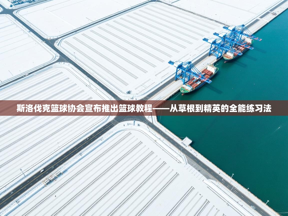 蓝鲸体育网页版入口-斯洛伐克篮球协会宣布推出篮球教程——从草根到精英的全能练习法 第2张