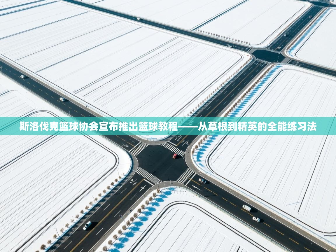 蓝鲸体育网页版入口-斯洛伐克篮球协会宣布推出篮球教程——从草根到精英的全能练习法 第4张