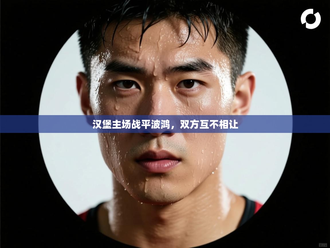 蓝鲸体育app-汉堡主场战平波鸿,双方互不相让 第4张